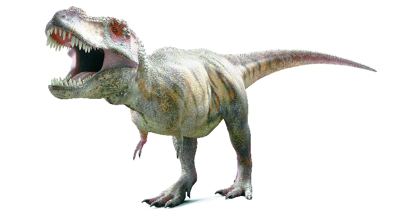 北极地区发现恐龙幼崽化石 7000万年前小恐龙在此蹒跚学步