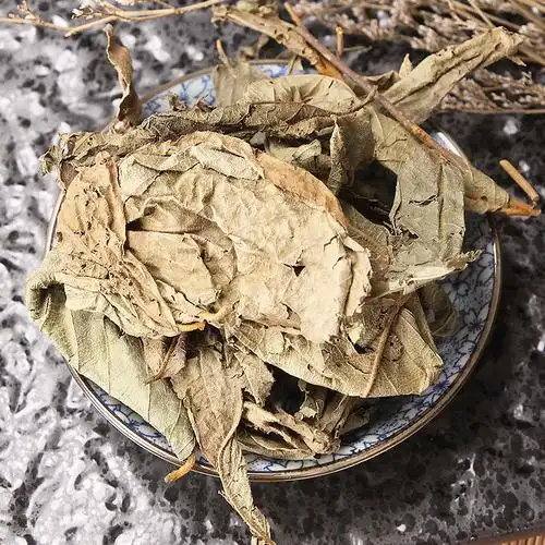 批发冷背中药材紫珠草 大风叶 紫珠叶