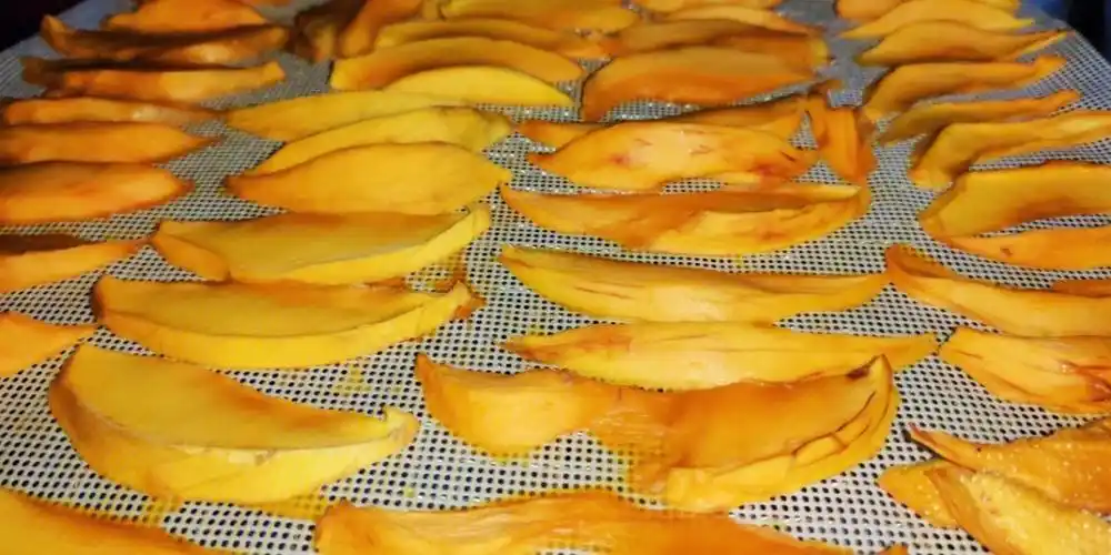 自制芒果干