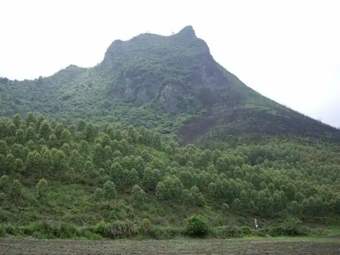 狮子回头格 - 风水 - 风水学