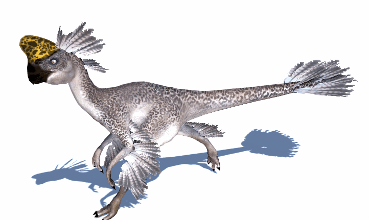 窃蛋龙:我的名字可能是个误会!