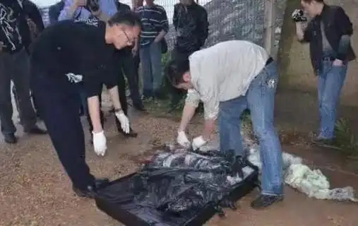 尸体被肢解成上千块如今仍是悬案,南大碎尸案究竟藏着哪些秘密?