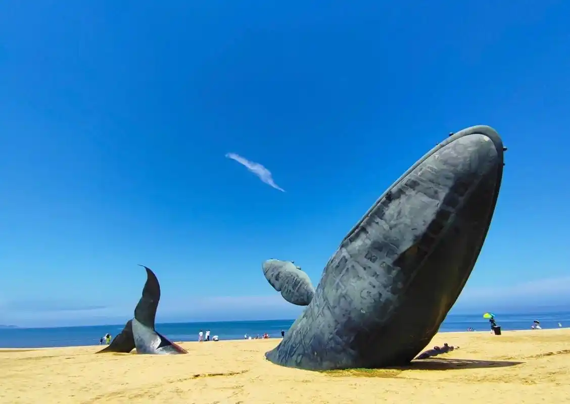 金沙滩|孤独的95鲸|详细攻略 烟台9215金沙滩 90行程安排