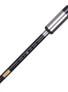 孔雀河巴乌竖吹横吹gfc降b调儿童小学生成人初学入门专业演奏