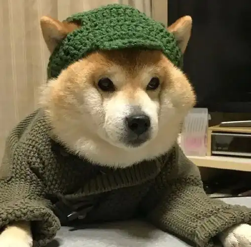 幽默搞笑个性头像挑你喜欢的174