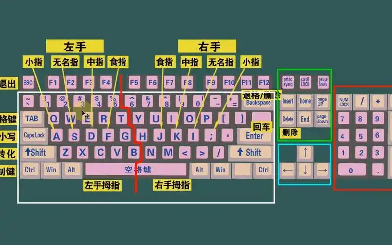 零基础学电脑打字,快速学会键盘打字,适合初学者学习