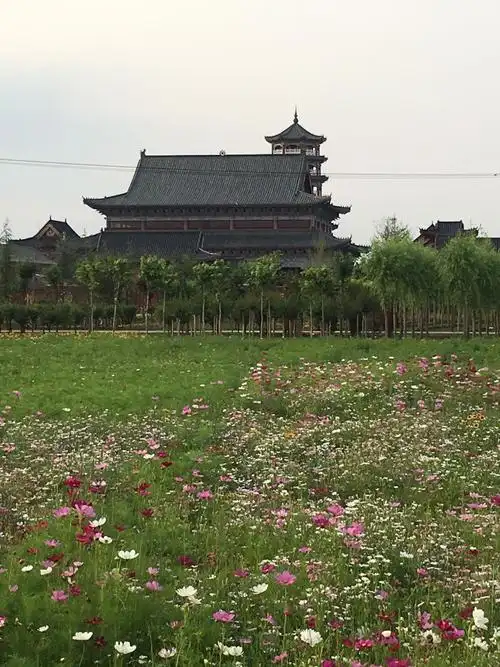 邢台市任县游雅街天气预报