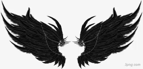 标签:翅膀天使之翼羽毛素描翅膀天使的翅膀双翼黑色堕落的天使翅膀