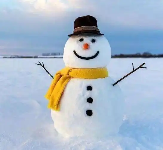 雪人颜值大比拼