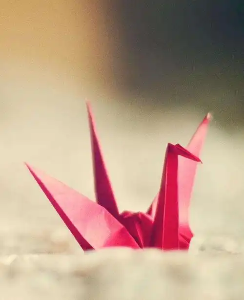 悦读|愿有一只千纸鹤飞到你窗前,告诉你我也很想念……– wp办公室