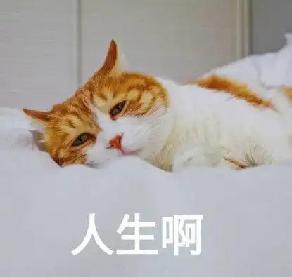 萌宠猫星人人生啊无奈呆萌可爱gif动图_动态图_表情包下载_soogif