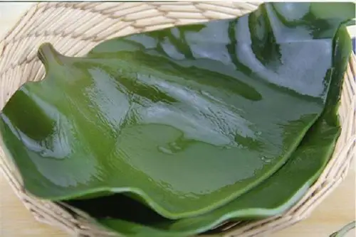 山东特产纯正野生 海带头5斤-热爱生活hao