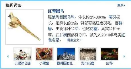 该机构合作的全部词条(44个)