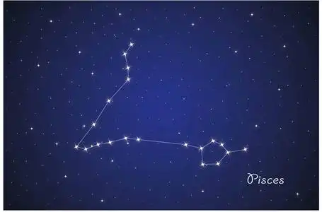 双鱼星座图片