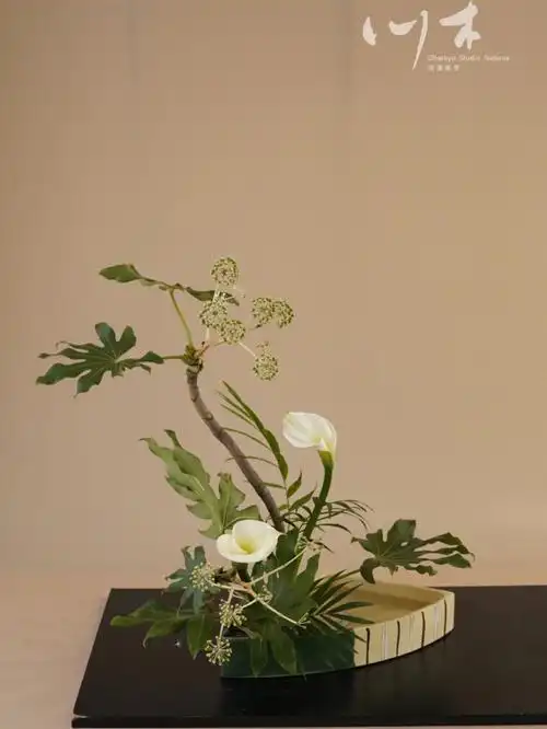 小原流花道来自绿化带的快落