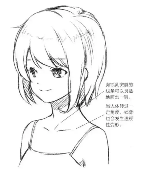 动漫人物肩膀画法教程