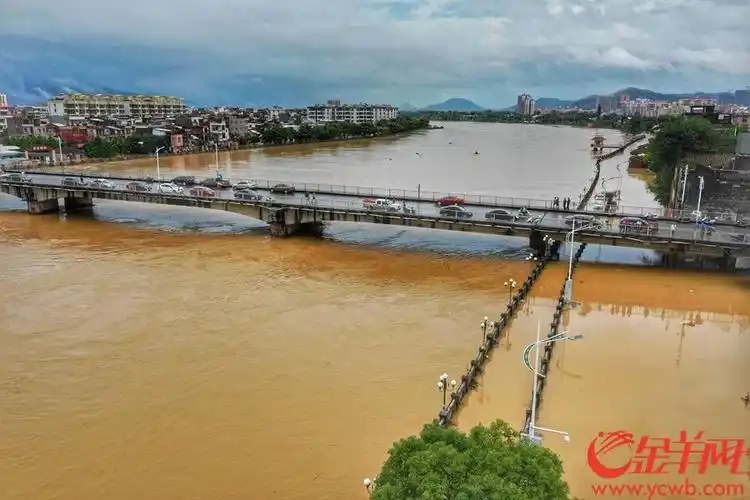 阳春城内积水已经开始缓慢下降