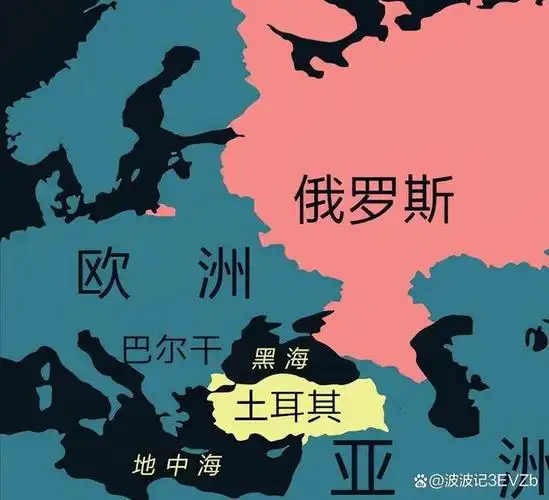 在当今世界,独联体国家的身份无疑是颇具特殊性的.