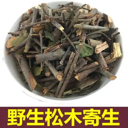 柿子寄生茶功效与作用柿子树寄生的药用价值
