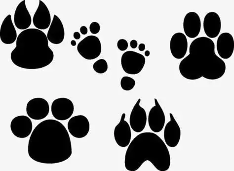 小狗窝脚印简笔画