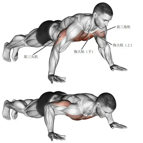 【耀61健身】16个动作"虐爆"你的胸大肌吧!