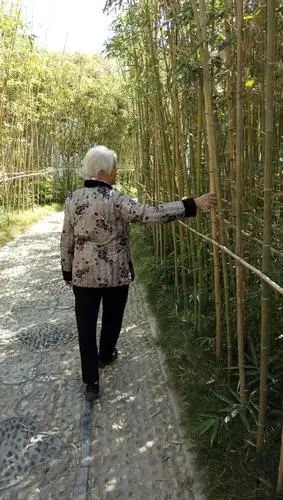 白发童趣的母亲――香君公园一游