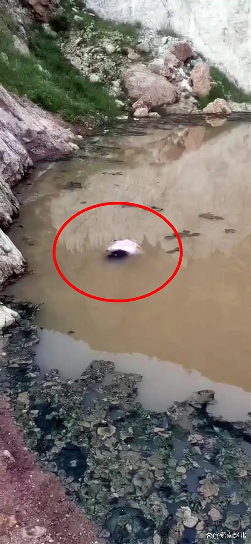 心痛!保定三个花季女孩水坑内溺亡,两个系亲姐妹