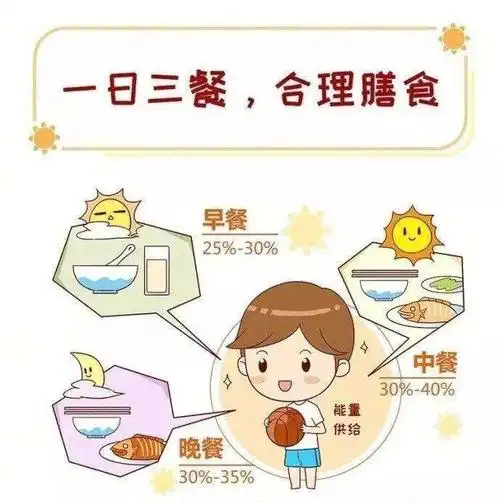 健康膳食,营养均衡——学思路幼儿园5.