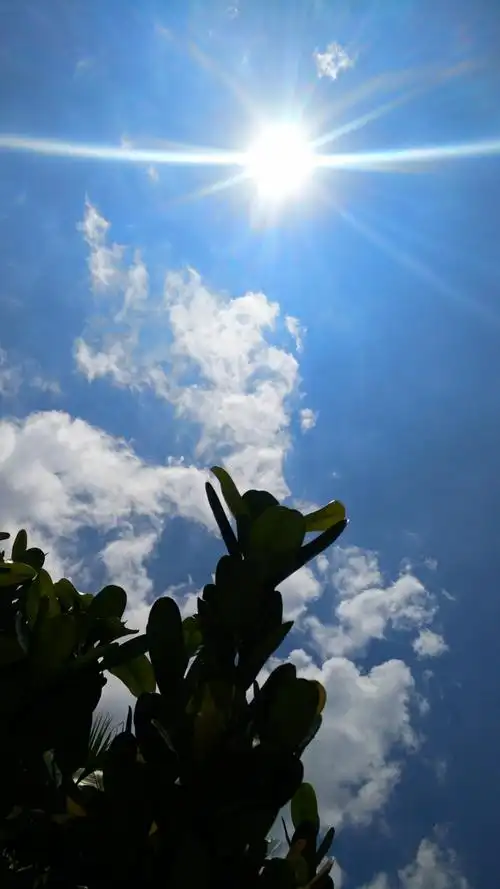 又见艳阳天 - 轻摄影 - 一加手机社区官方论坛