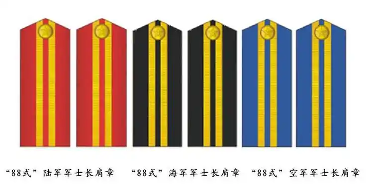 解放军军士长军衔历史 - sishuiliunian_1983 - 军服历史