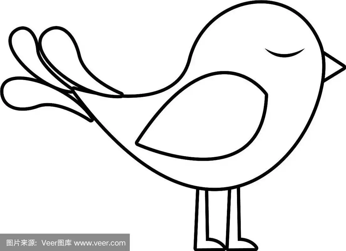 黑白剪影与可爱的小鸟