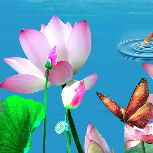 风景头像风景头像花草山水