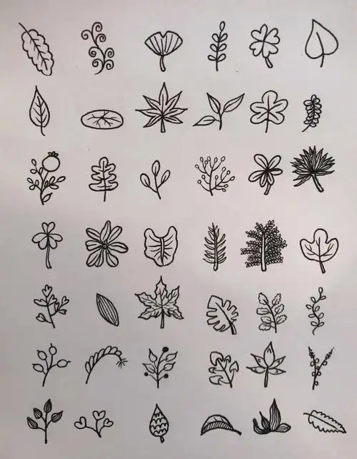 控笔打卡零基础简笔画一看就会的树叶大全