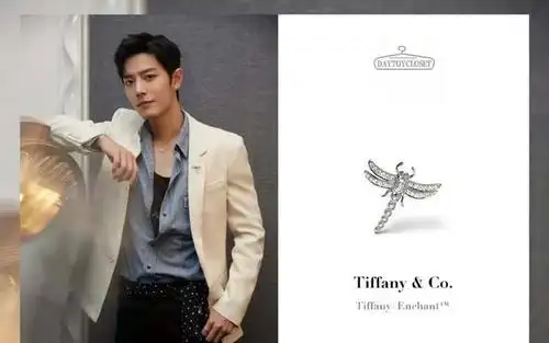 肖战获奢侈品代言!多次佩戴该品牌胸针出席活动,商业价值再提升