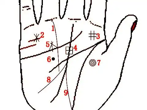 手相财富纹大全图解