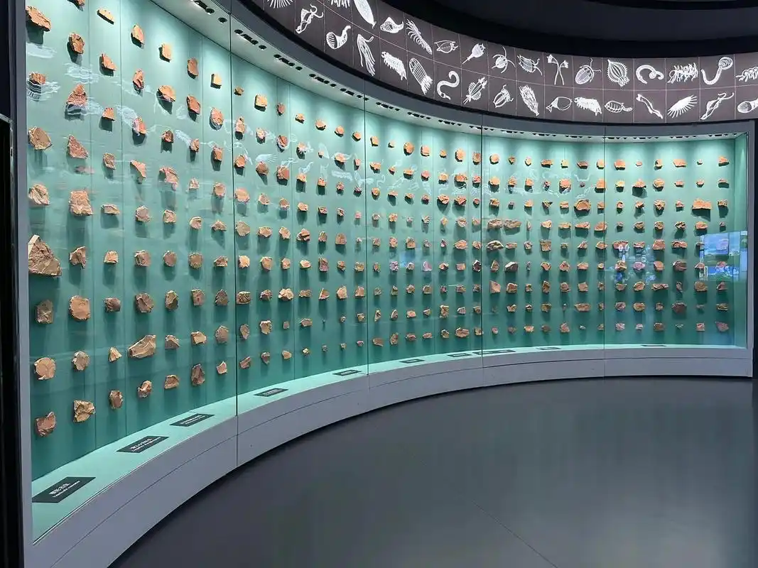 澄江化石地世界自然遗产博物馆.绝对值得2-3刷【澄江化石地世 - 抖音