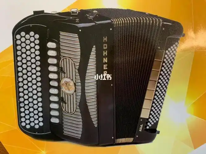 巴扬手风琴入门