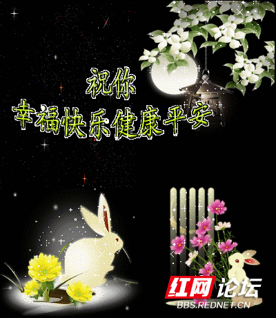 31 祝幸福快乐.gif