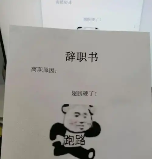 00后大学生辞职信走红,"翅膀硬了"要跑路,老板直言太难带