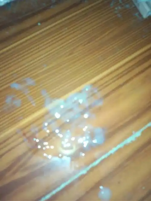 前几天胃口不错,但有几次拉稀是喷射状,从昨晚开始拉白色透明粘稠液体