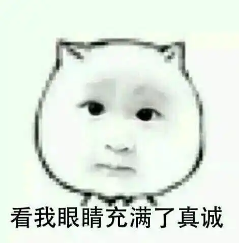 萌娃可爱直视看我眼睛充满了真诚gif动图_动态图_表情包下载_soogif