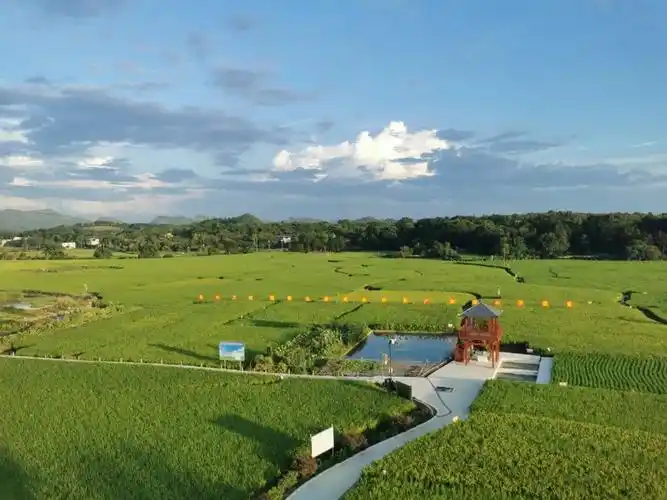 广西这些有"龙"的乡镇,你去过几个?-广西新闻网