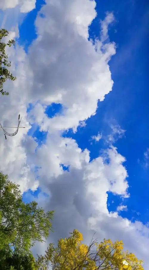 聚焦蓝天白云晴空万里在淮安的秋天里让我们一起抬头看看天