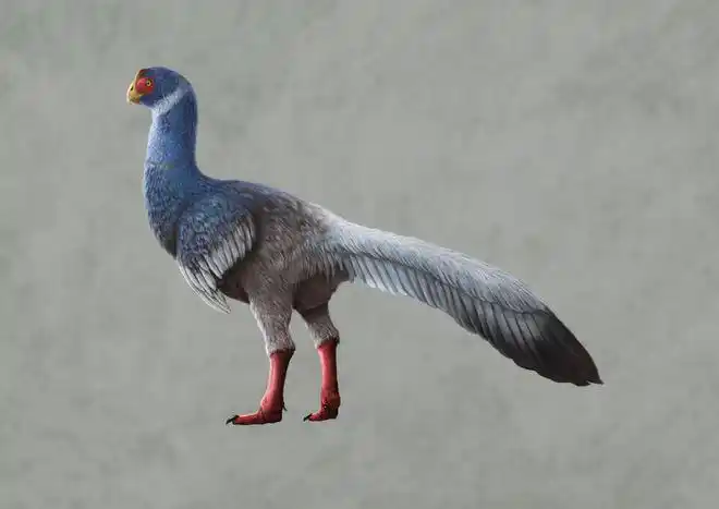 建昌龙临河猎龙赣州龙中国似鸟龙你想象中的恐龙是不是都是灰灰土土的