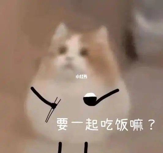 一起吃饭嘛?