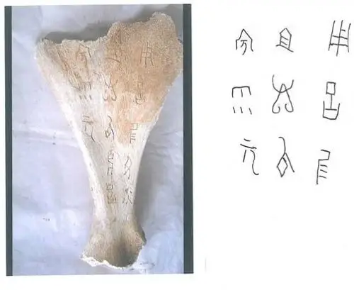 骨头上的甲骨文
