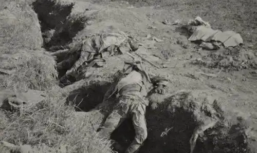 鸟粪都落不到头上怕什么炮弹?这军阀对空袭不屑一顾,立马被炸死