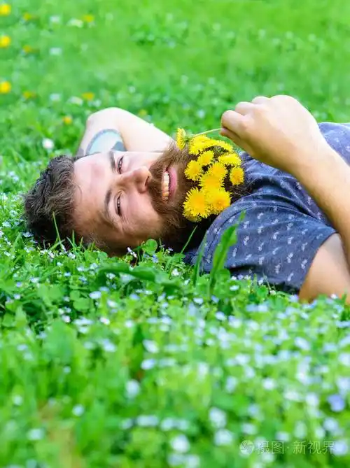 有胡子的人用蒲公英花躺在草地上, 草的背景.