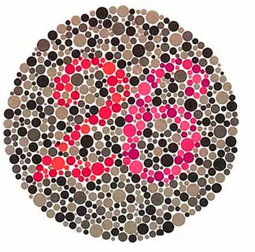 色盲眼中的世界是什么样子?对比普通人有何区别?