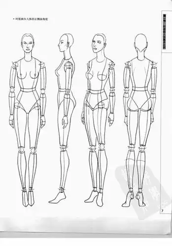 简笔画人体侧面图